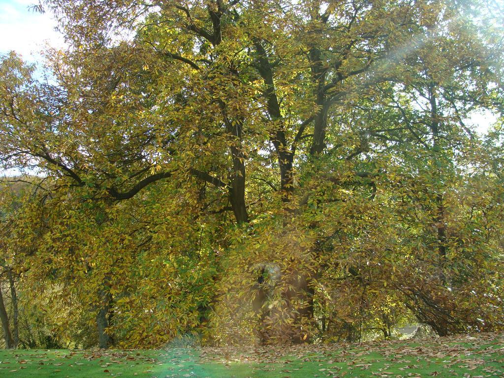 Chambre D'Hotes Les Champarts Tourville-la-Chapelle Екстериор снимка