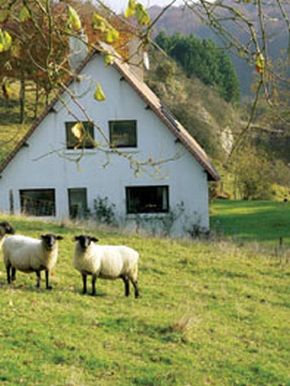 Chambre D'Hotes Les Champarts Tourville-la-Chapelle Екстериор снимка