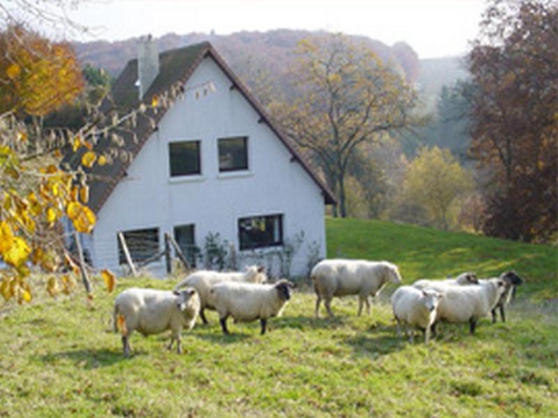 Chambre D'Hotes Les Champarts Tourville-la-Chapelle Екстериор снимка