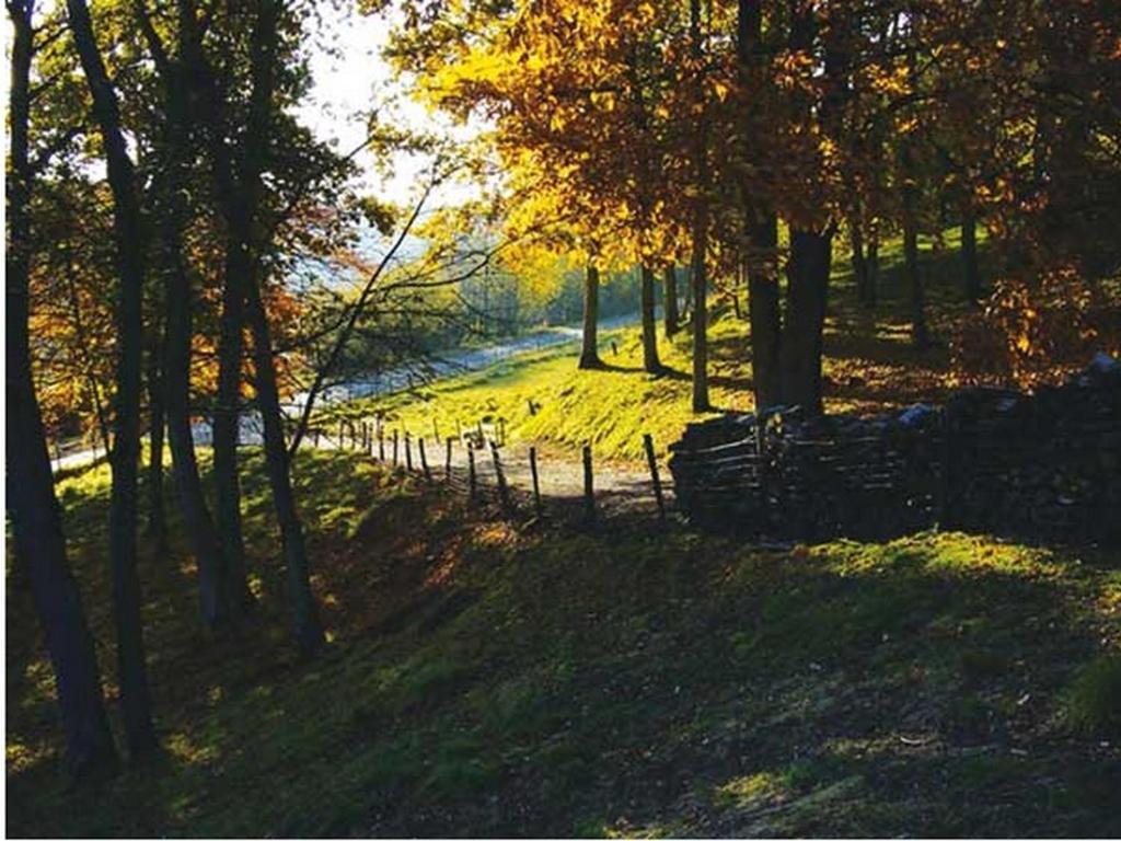 Chambre D'Hotes Les Champarts Tourville-la-Chapelle Екстериор снимка
